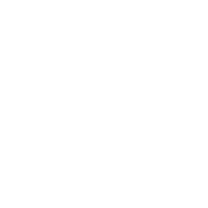 tomruk-logo-light